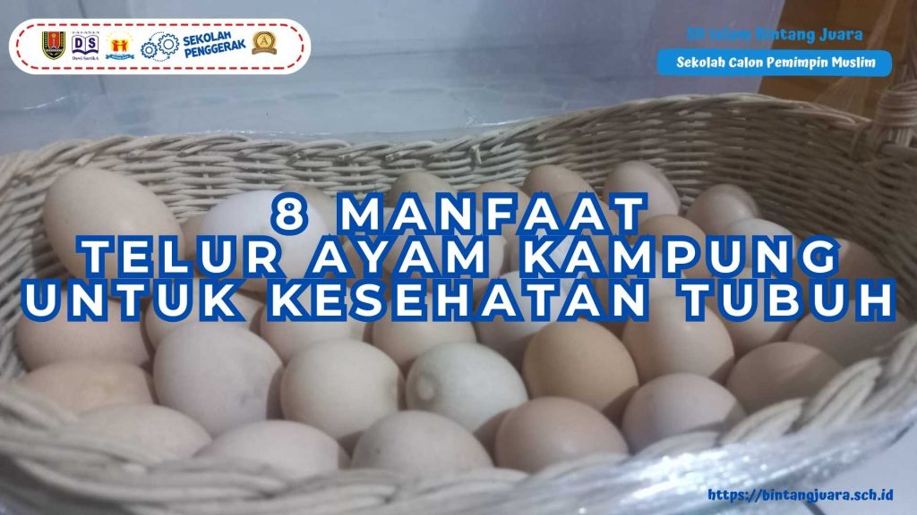 manfaat telur ayam kampung