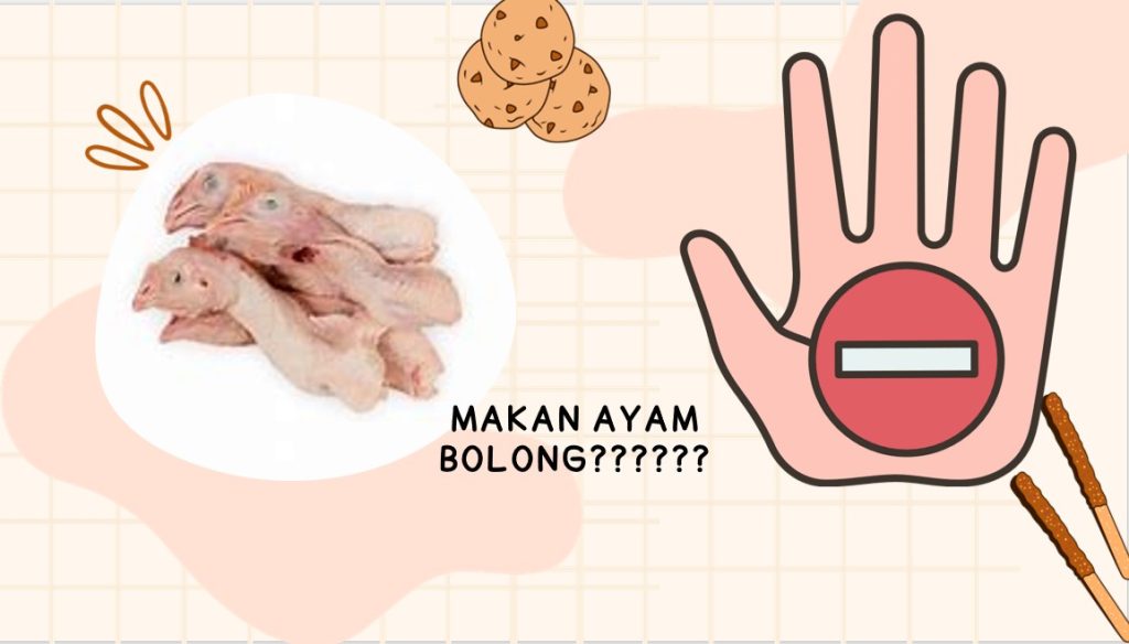 ayam bolong halalkah